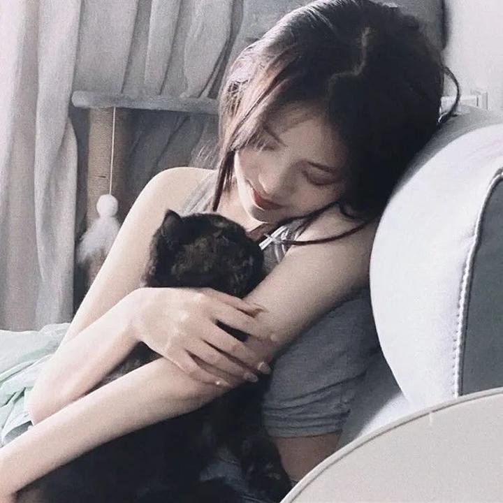 抛妻奇谈2