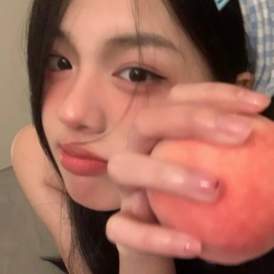 托梅斯的导盲犬